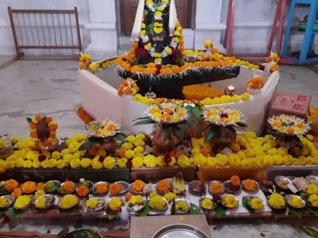 महामृत्युंजय जप अनुष्ठान पूजा_2