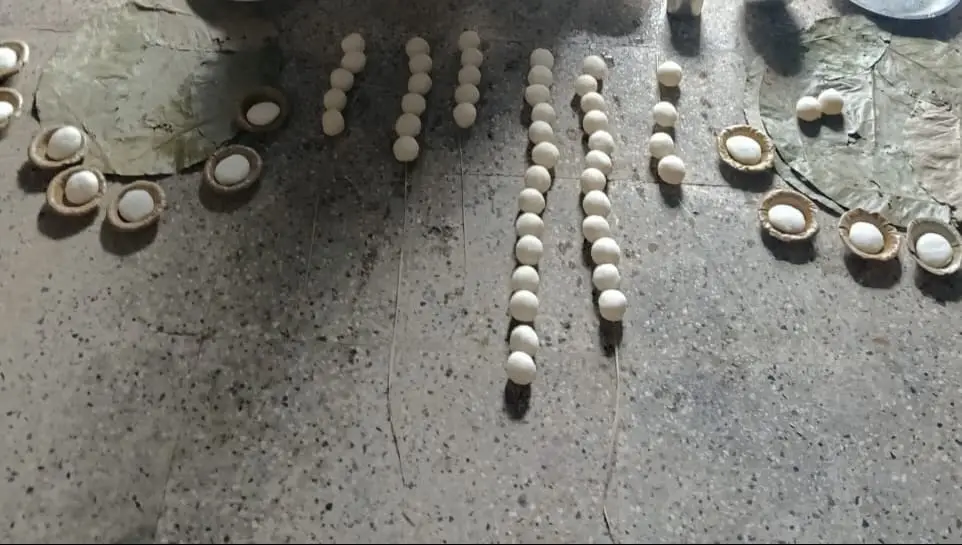 विष्णु बली विधि 2